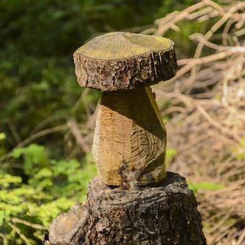 苹果版扎金花有没有苹果系统的炸金花