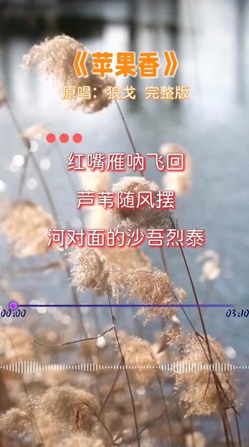 临夏版苹果香苹果香歌曲原唱黑大婶