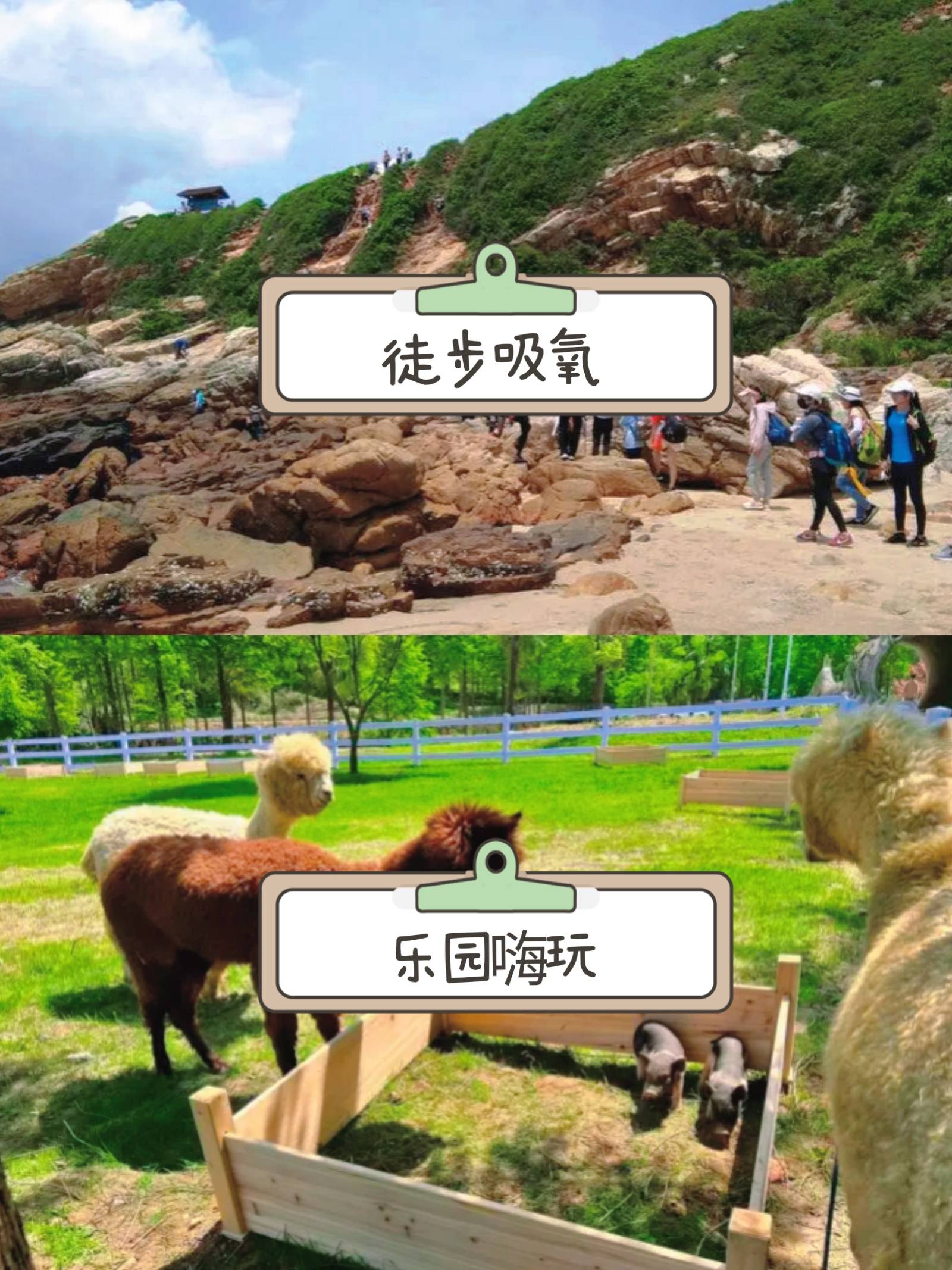 捕鱼奇兵游戏版安卓版传奇服务端下载gm基地-第2张图片-太平洋在线下载