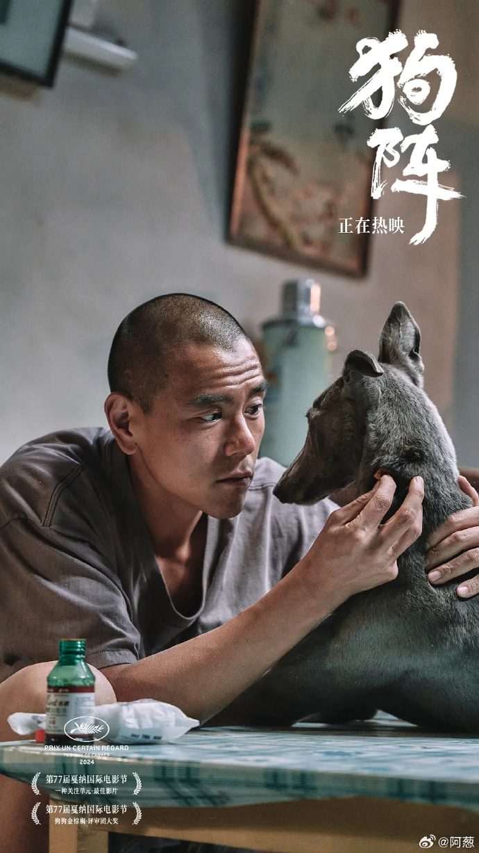 影视资源狗手机版影视狗在线观看免费观看