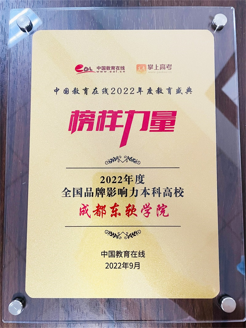 东软网络客户端东东软件app下载