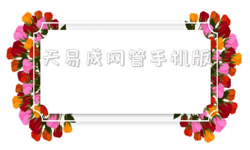 天易成网管手机版天易成网管软件破解版